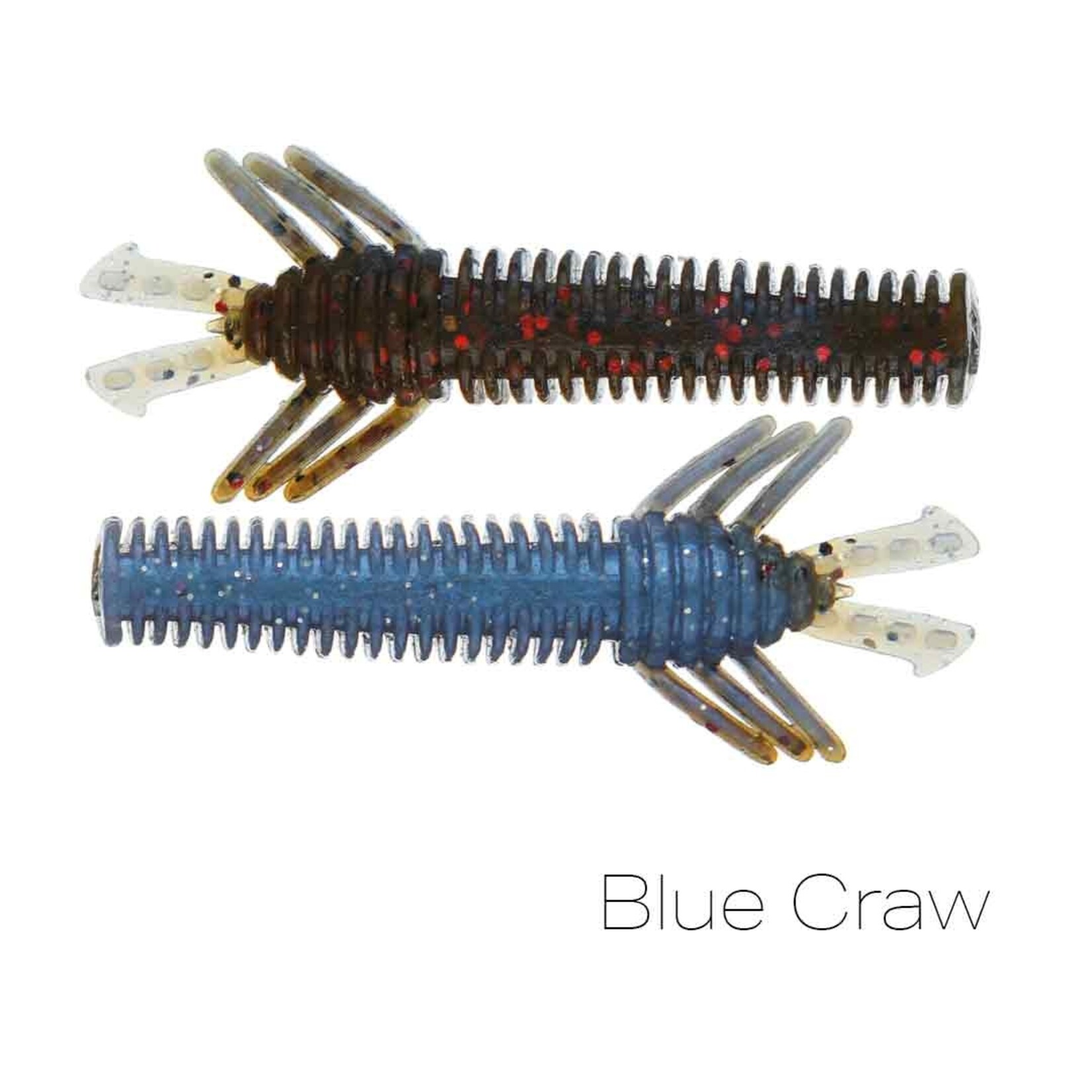 10,000 Fish Sukoshi Bug 2.5"