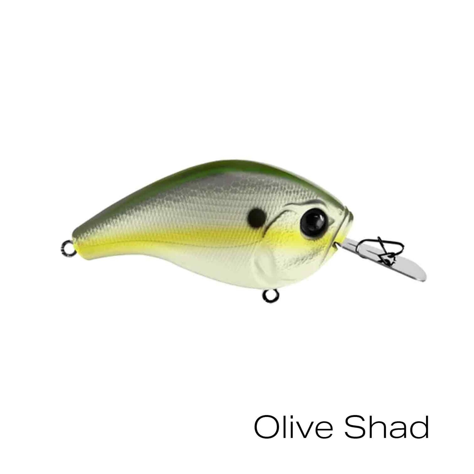13 Fishing Jabber Jaw