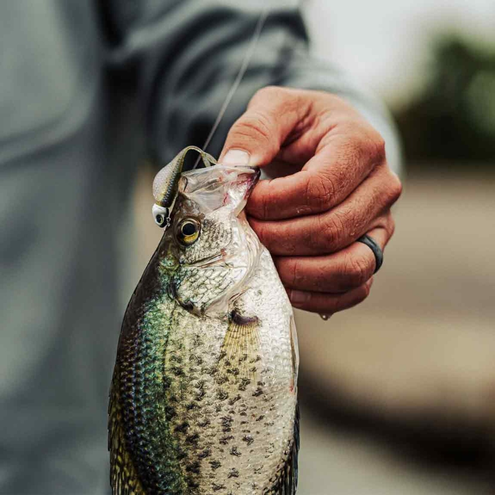 6th Sense Crappie Jighead