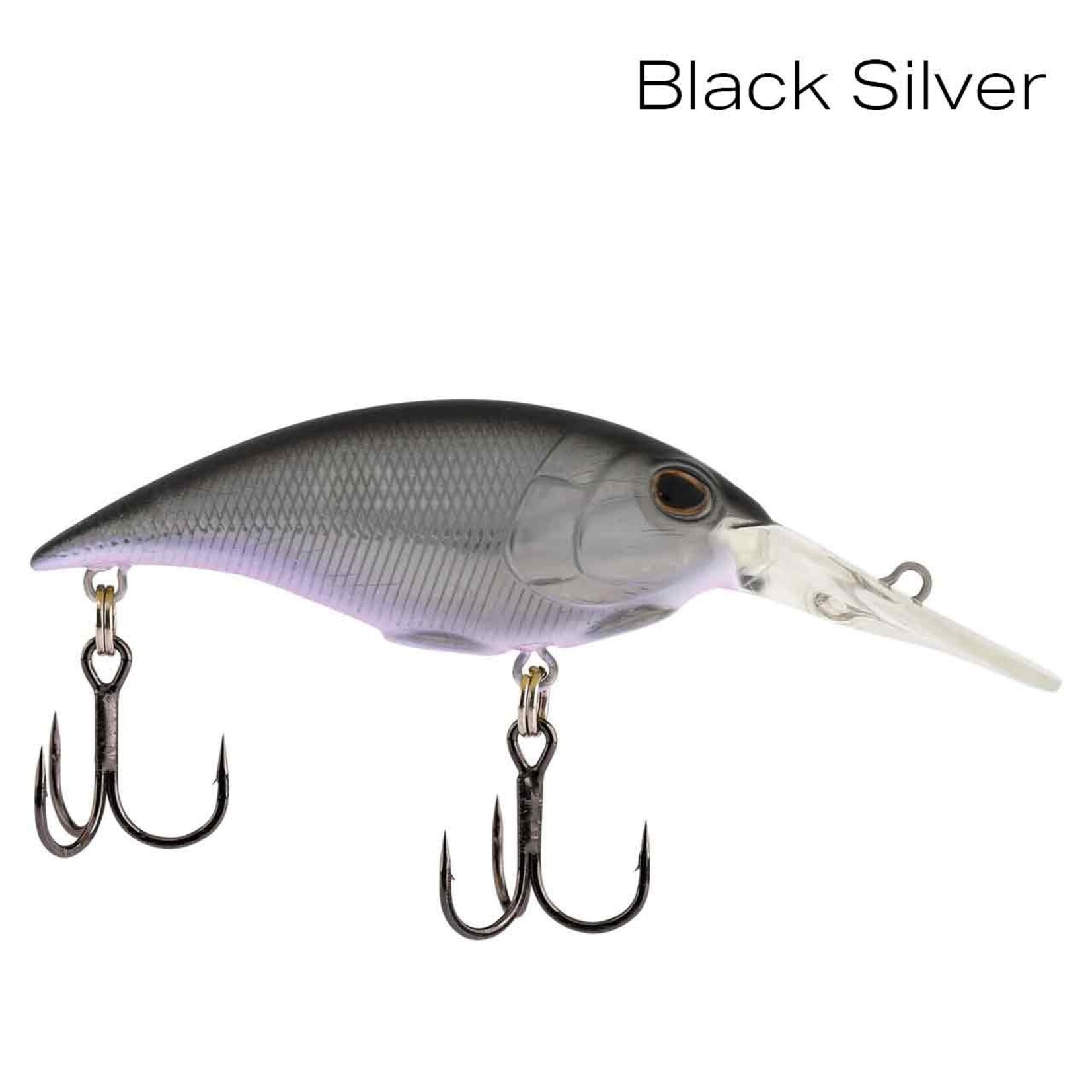 Berkley Money Badger 4