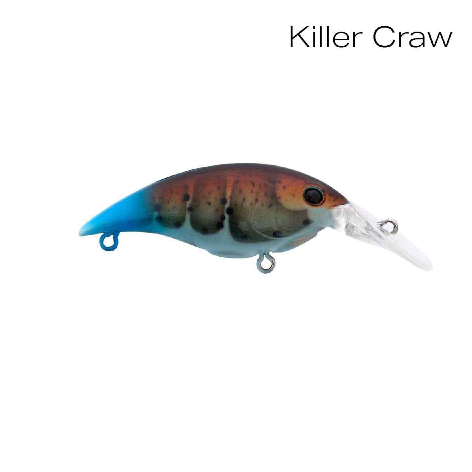 Berkley Money Badger 5