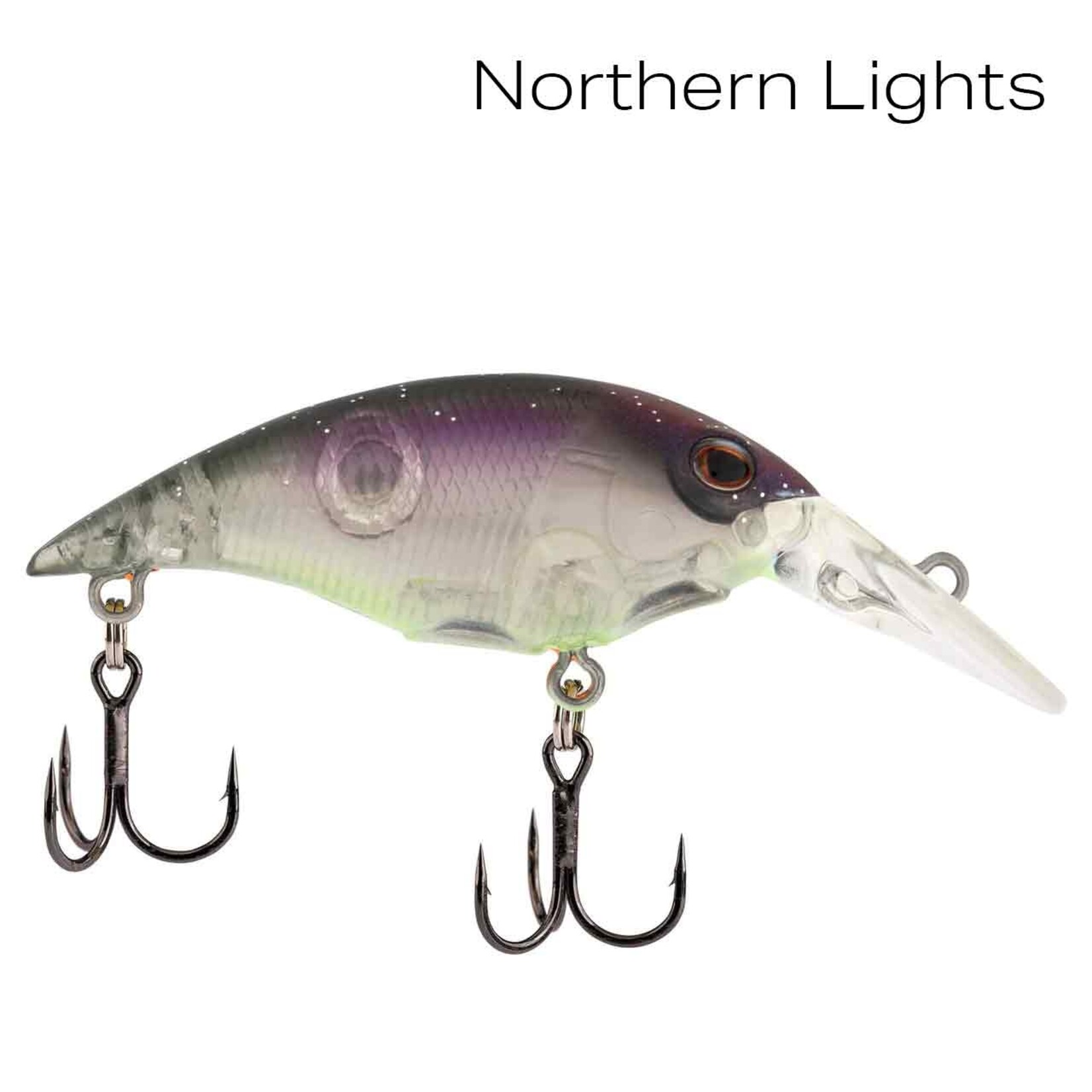 Berkley Money Badger 5