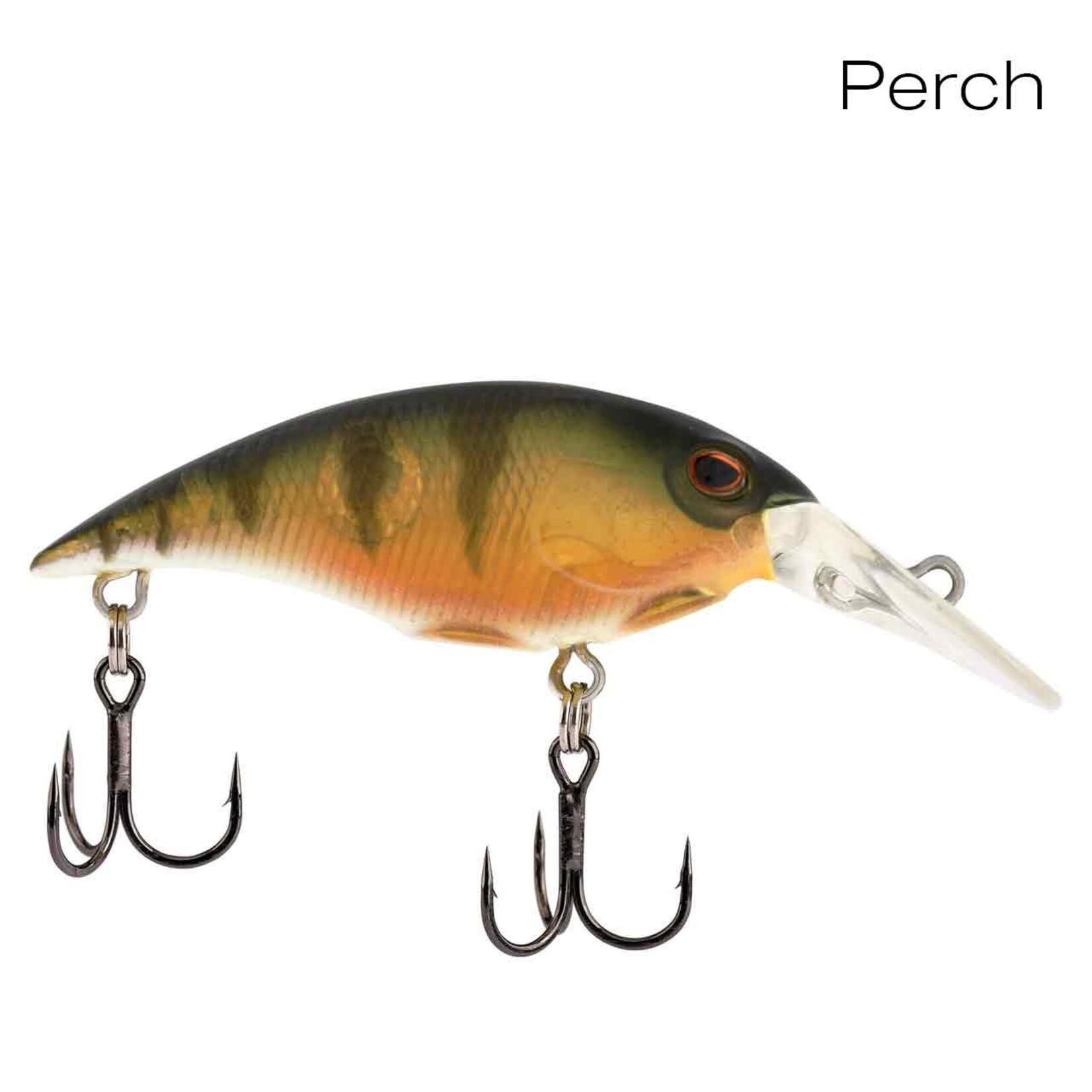 Berkley Money Badger 4