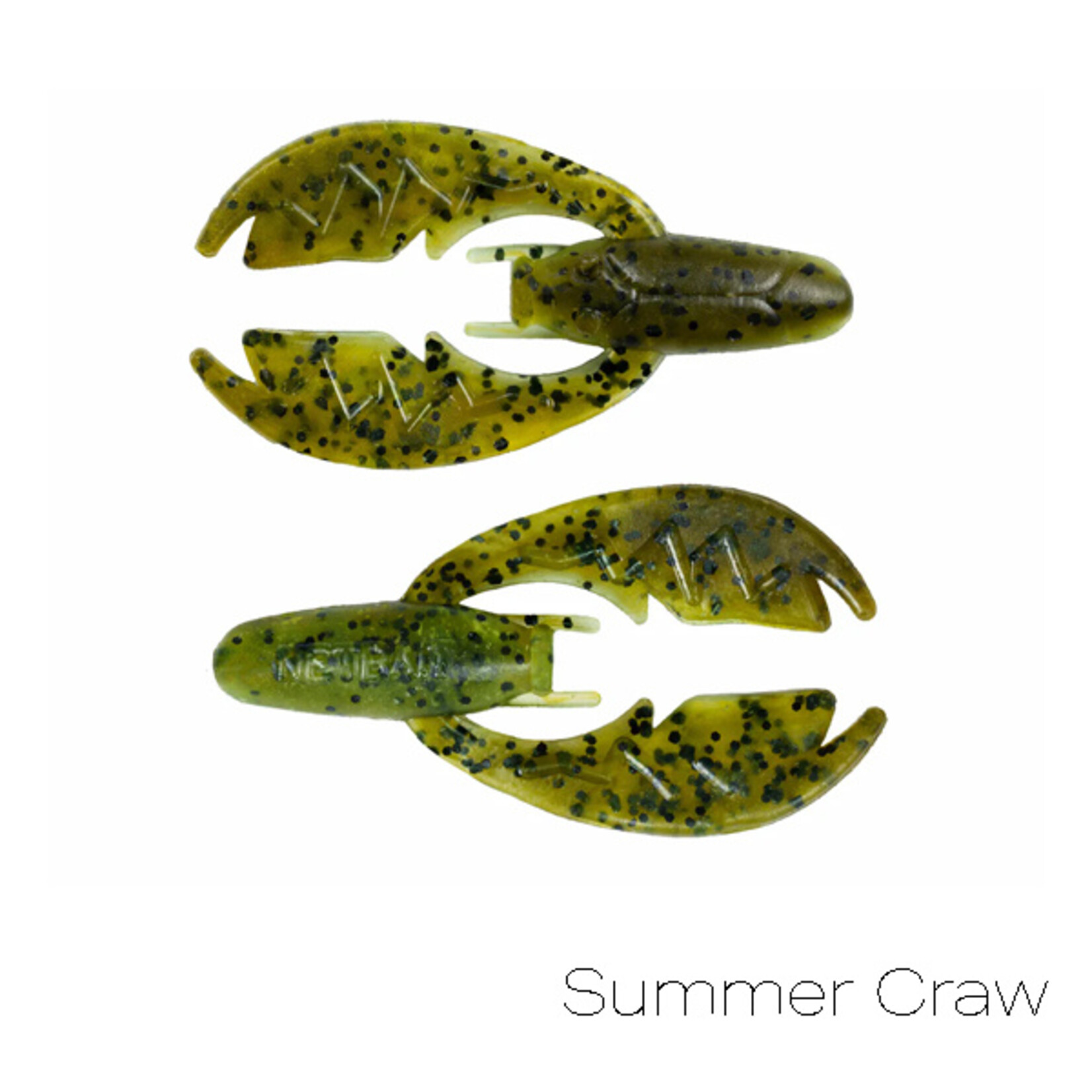 NetBait BaitFuel Tiny Paca Chunk 2"