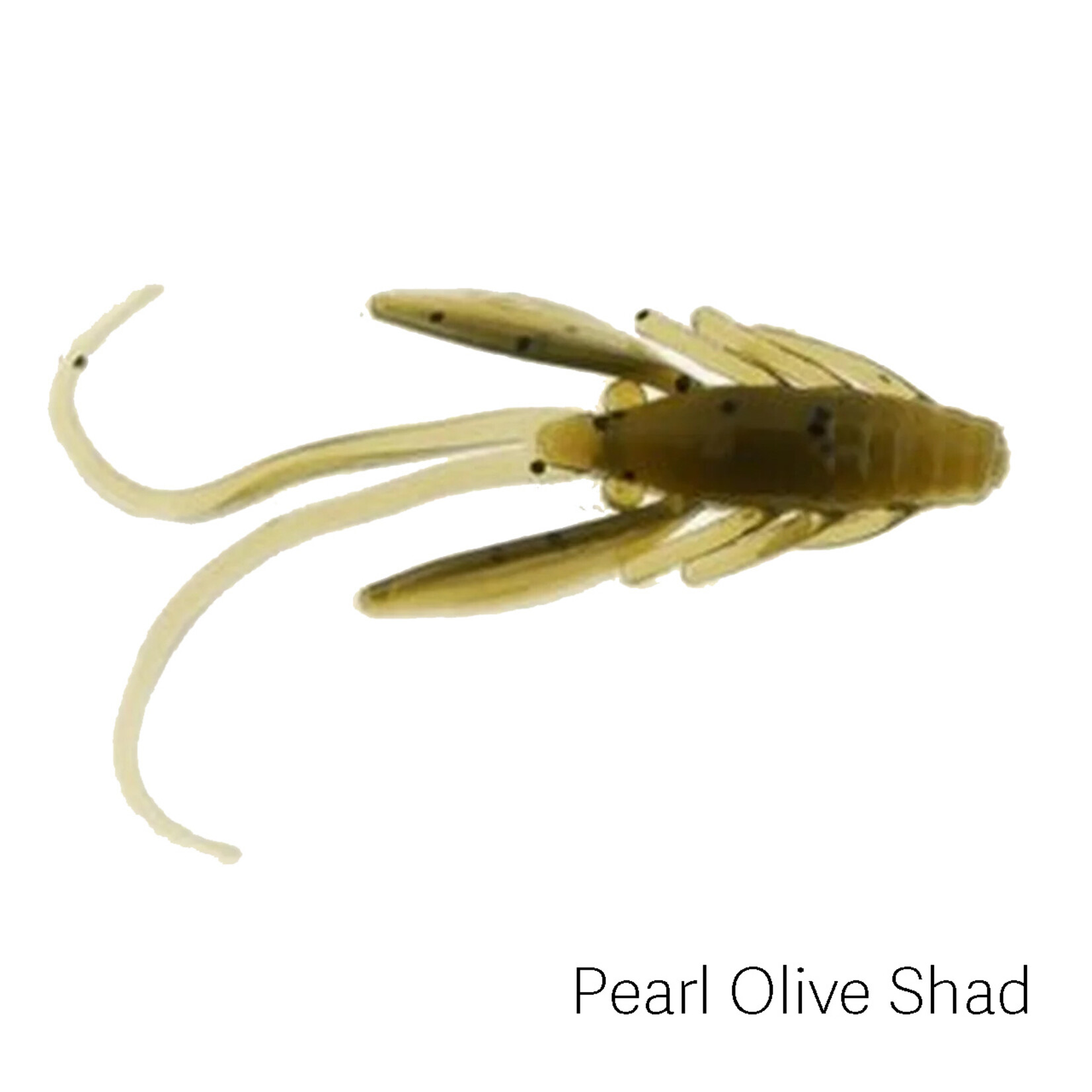 Berkley PowerBait Power Nymph 1"