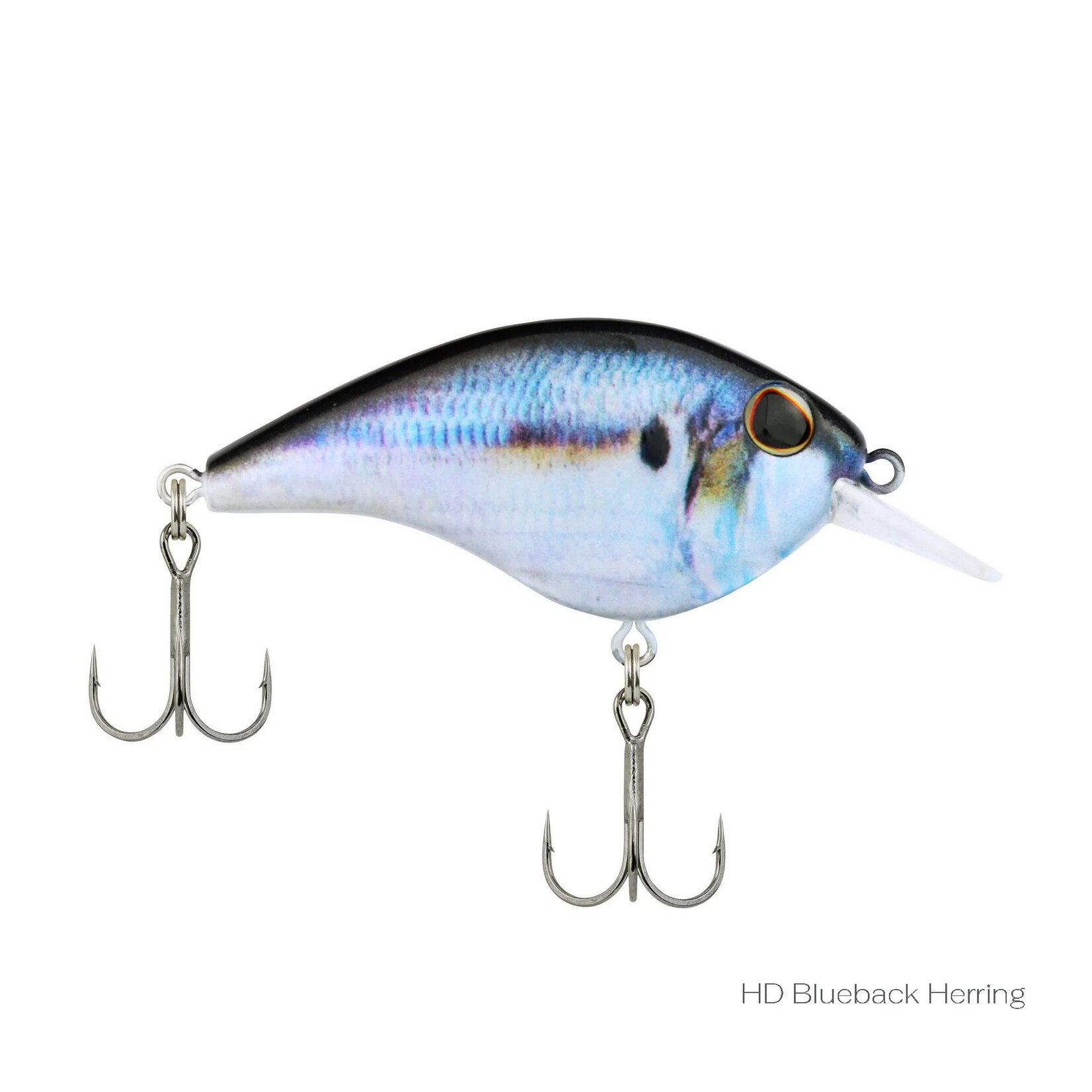 Berkley Frittside 5 Jr