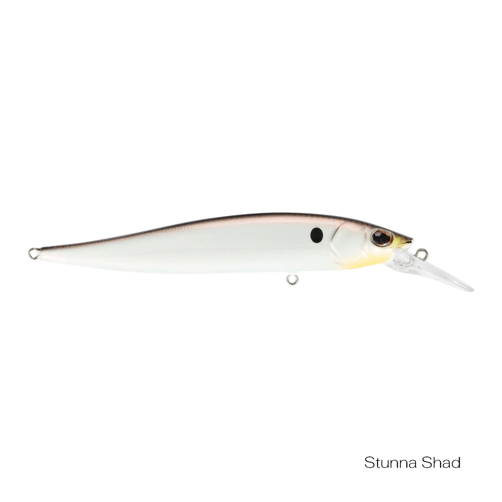 Berkley Stunna 100+1