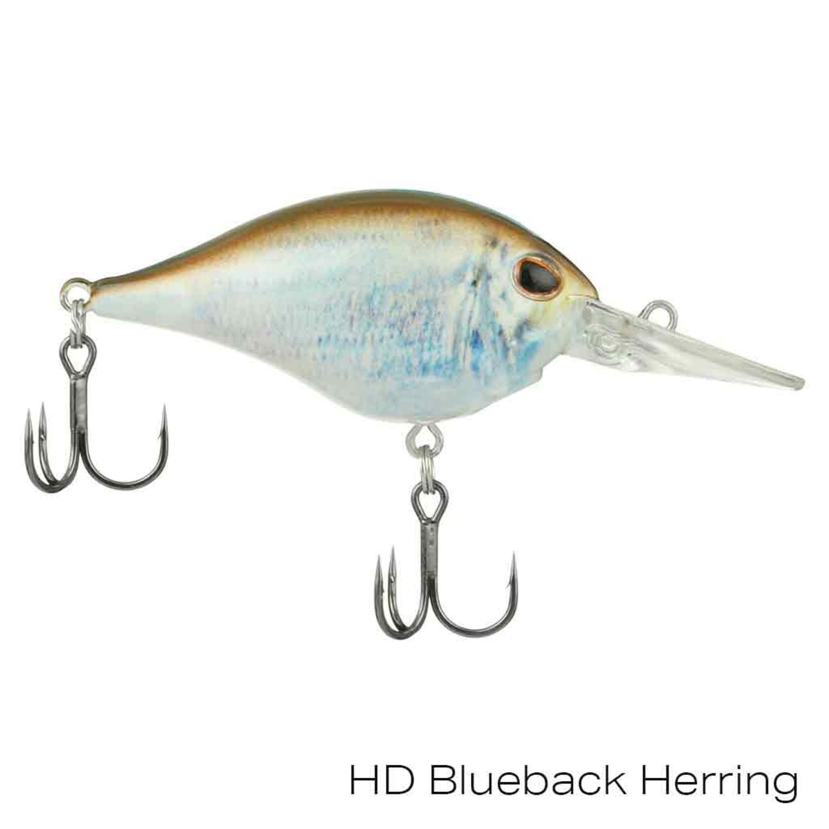 Berkley Dime 6