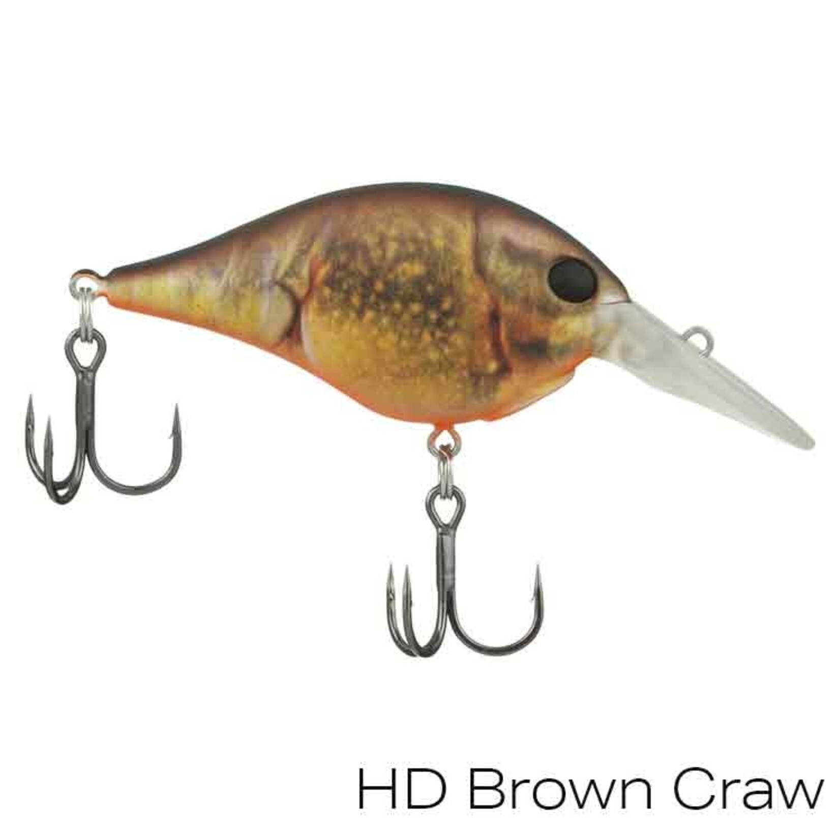 Berkley Dime 4