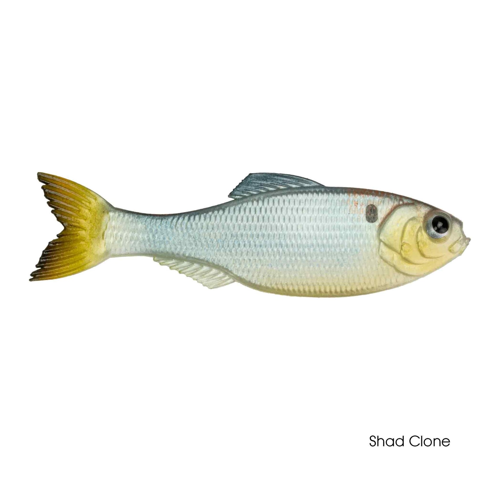 6th Sense Panorama 6.5"