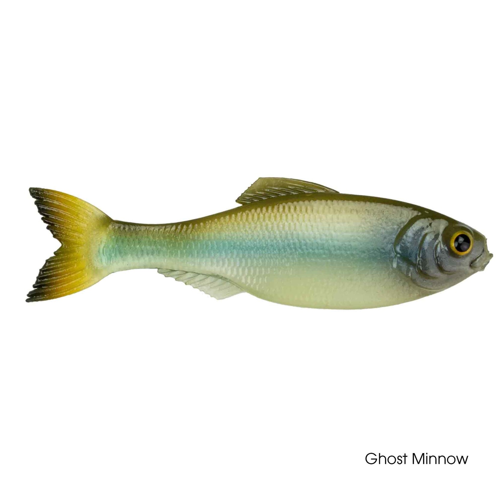 6th Sense Panorama 6.5"