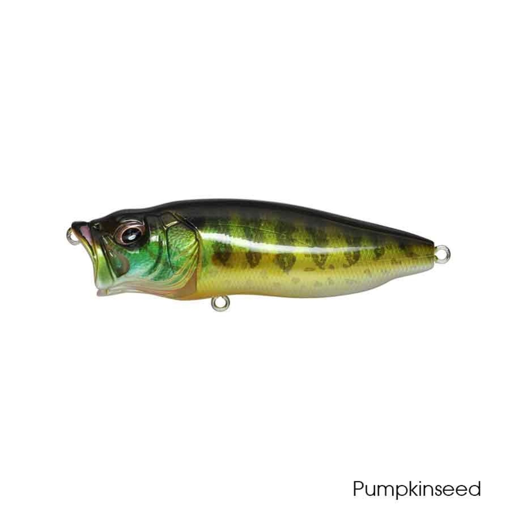 Megabass PopMax