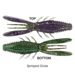 Rapala Crush City Bronco Bug