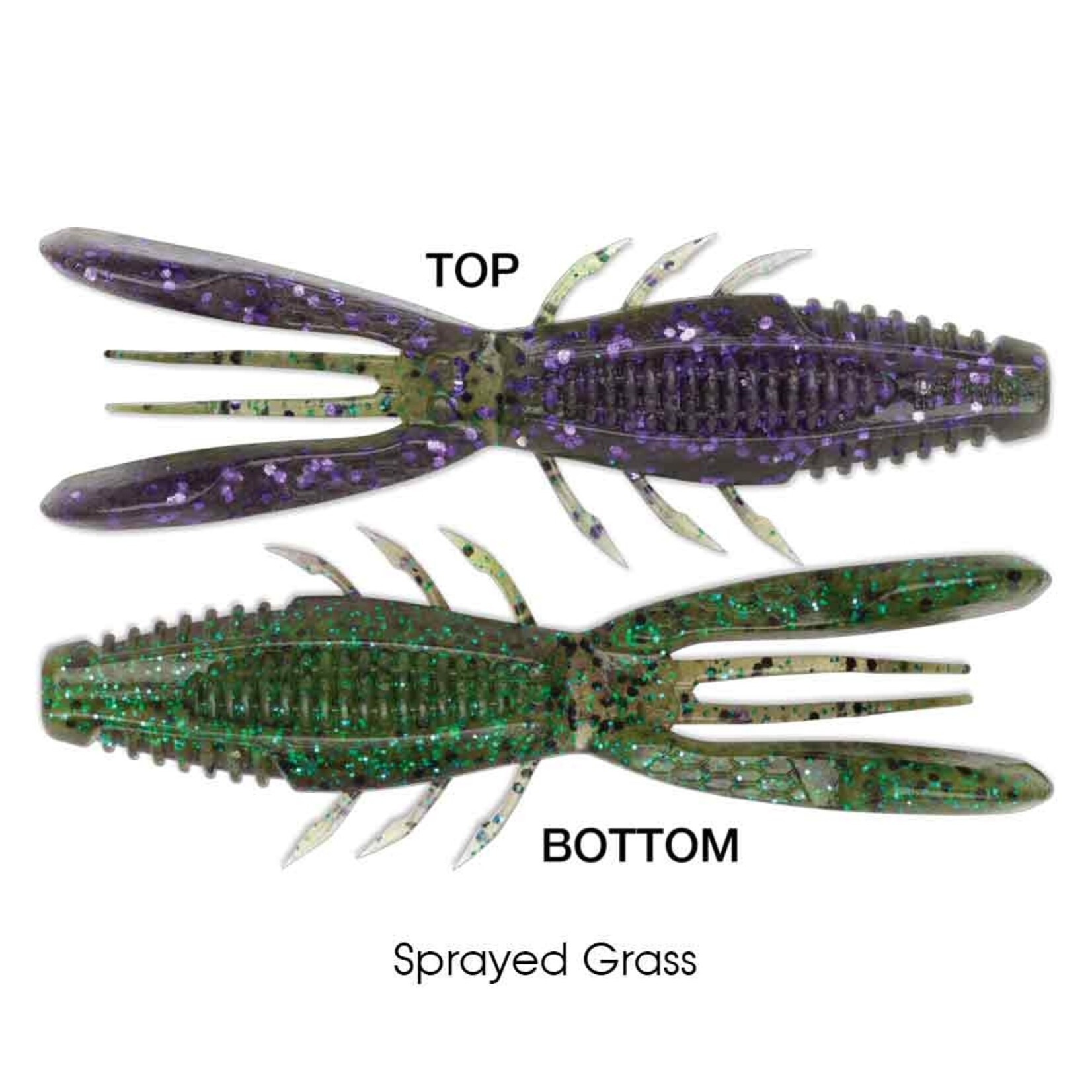 Rapala Crush City Bronco Bug