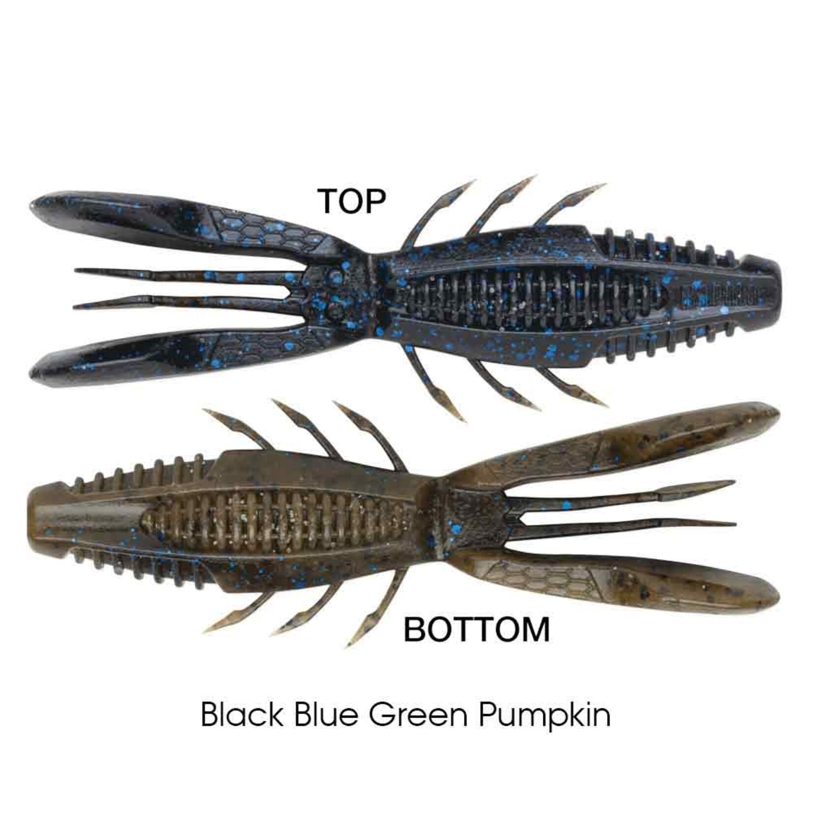 Rapala Crush City Bronco Bug