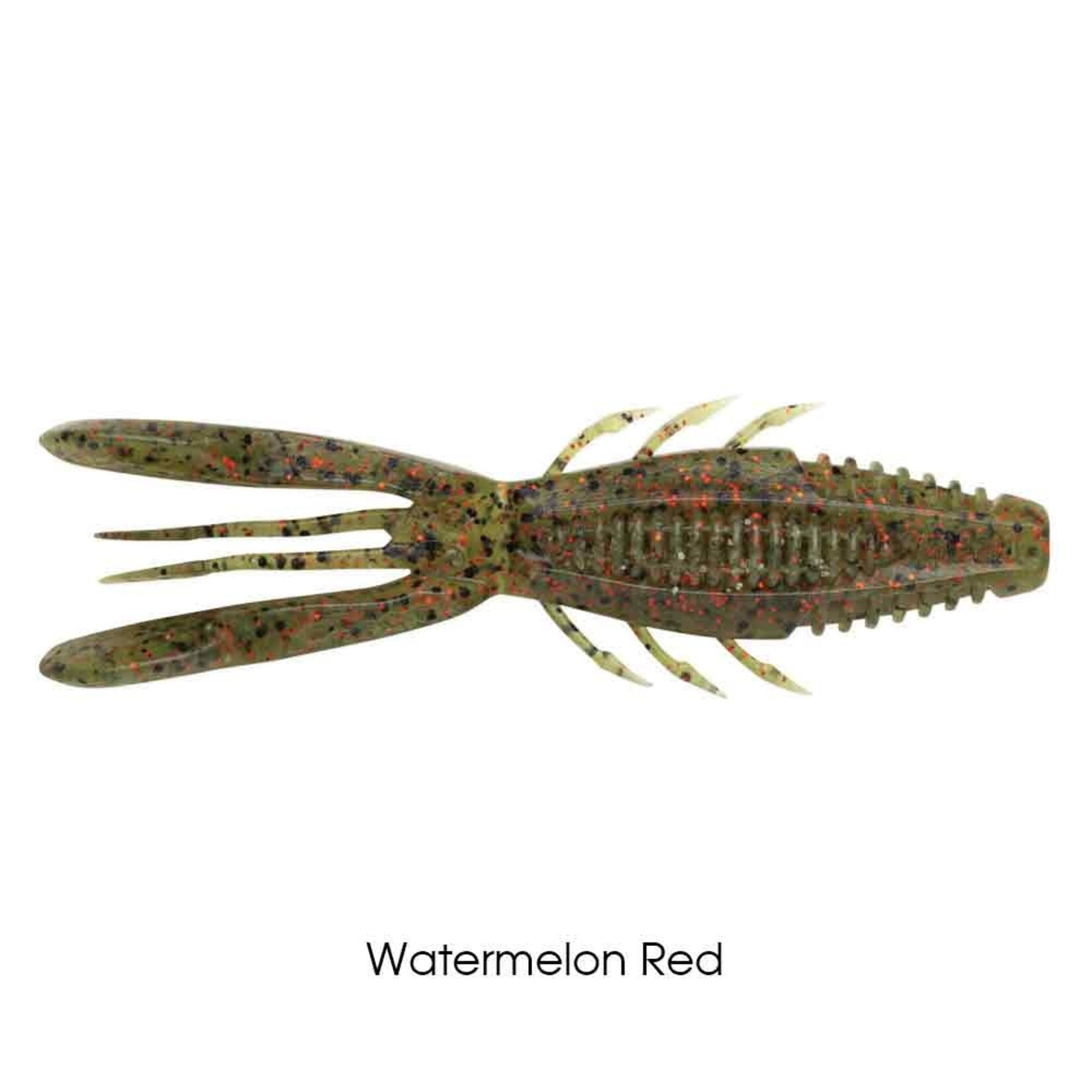 Rapala Crush City Bronco Bug