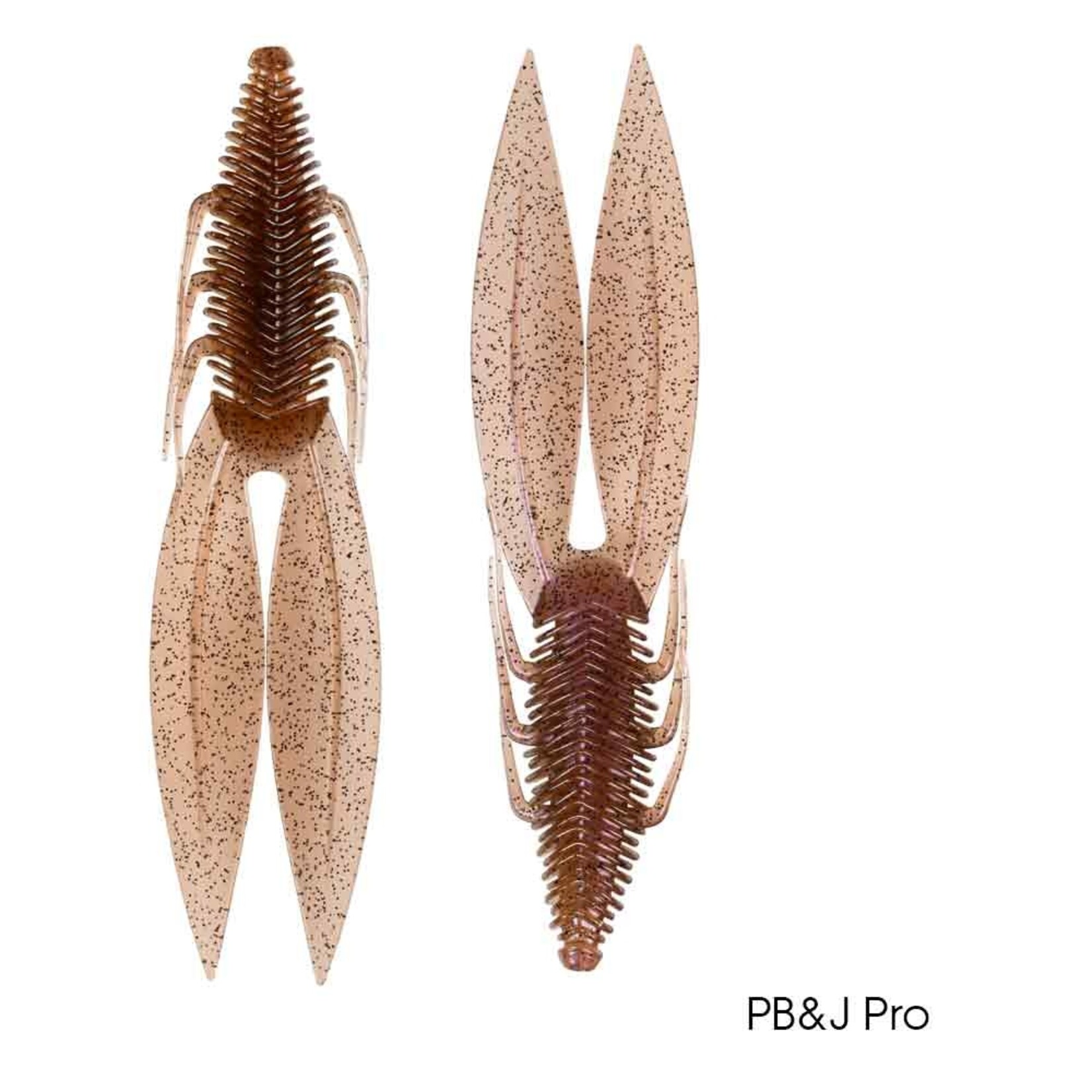 6th Sense Bodega 4.8"