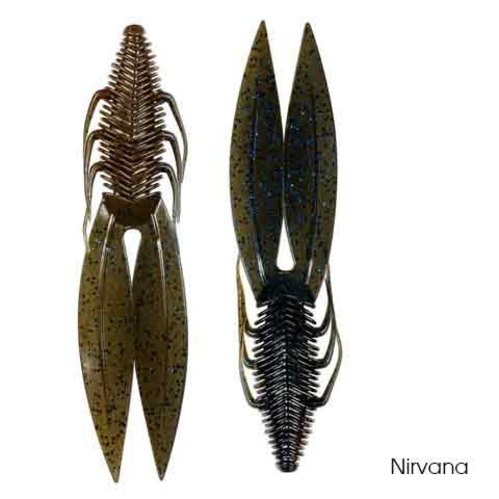 6th Sense Bodega 4.8"