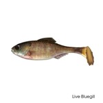 6th Sense Panorama Swimbait 3.5