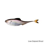 6th Sense Fiction Shad 3.4"