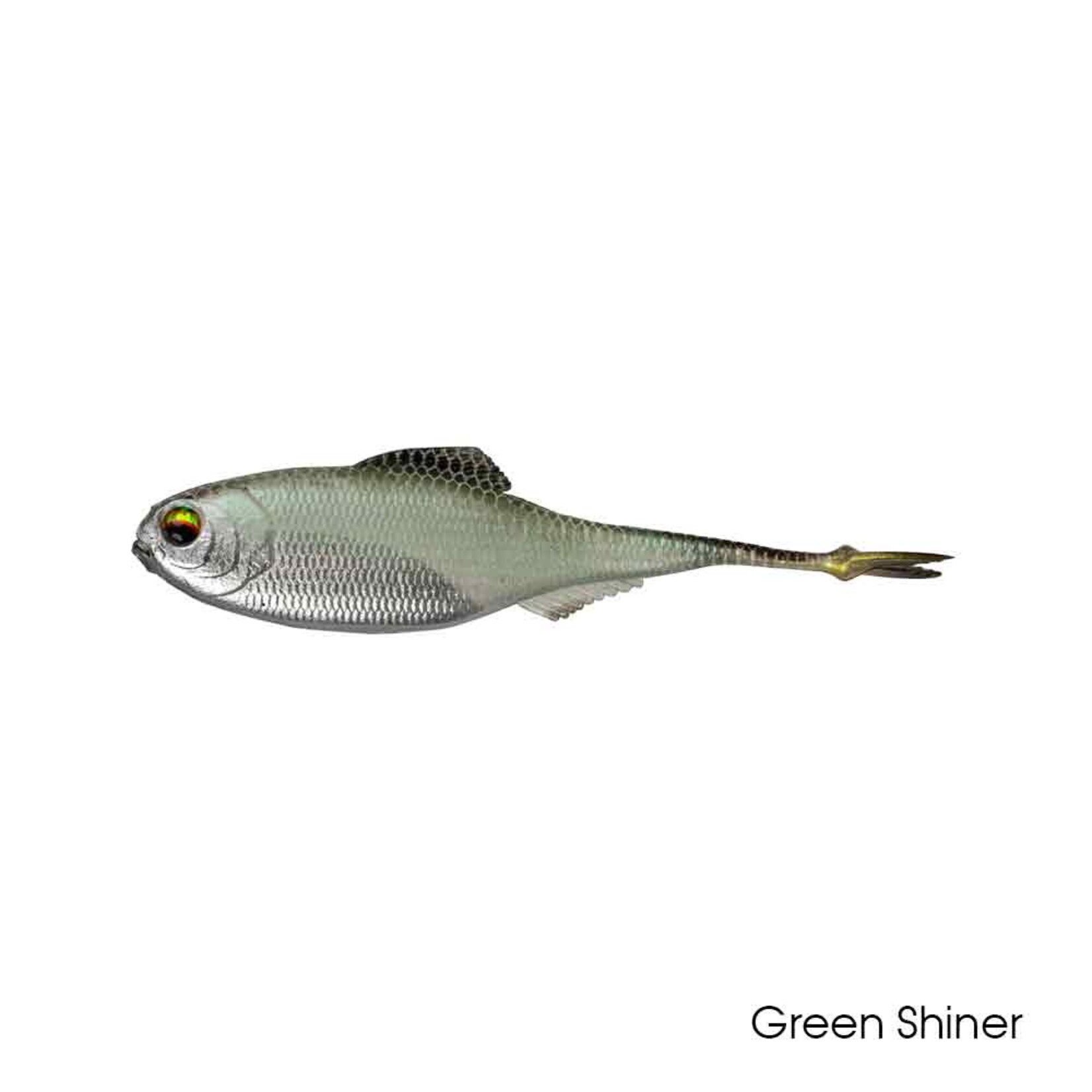 6th Sense Fiction Shad 3.4"