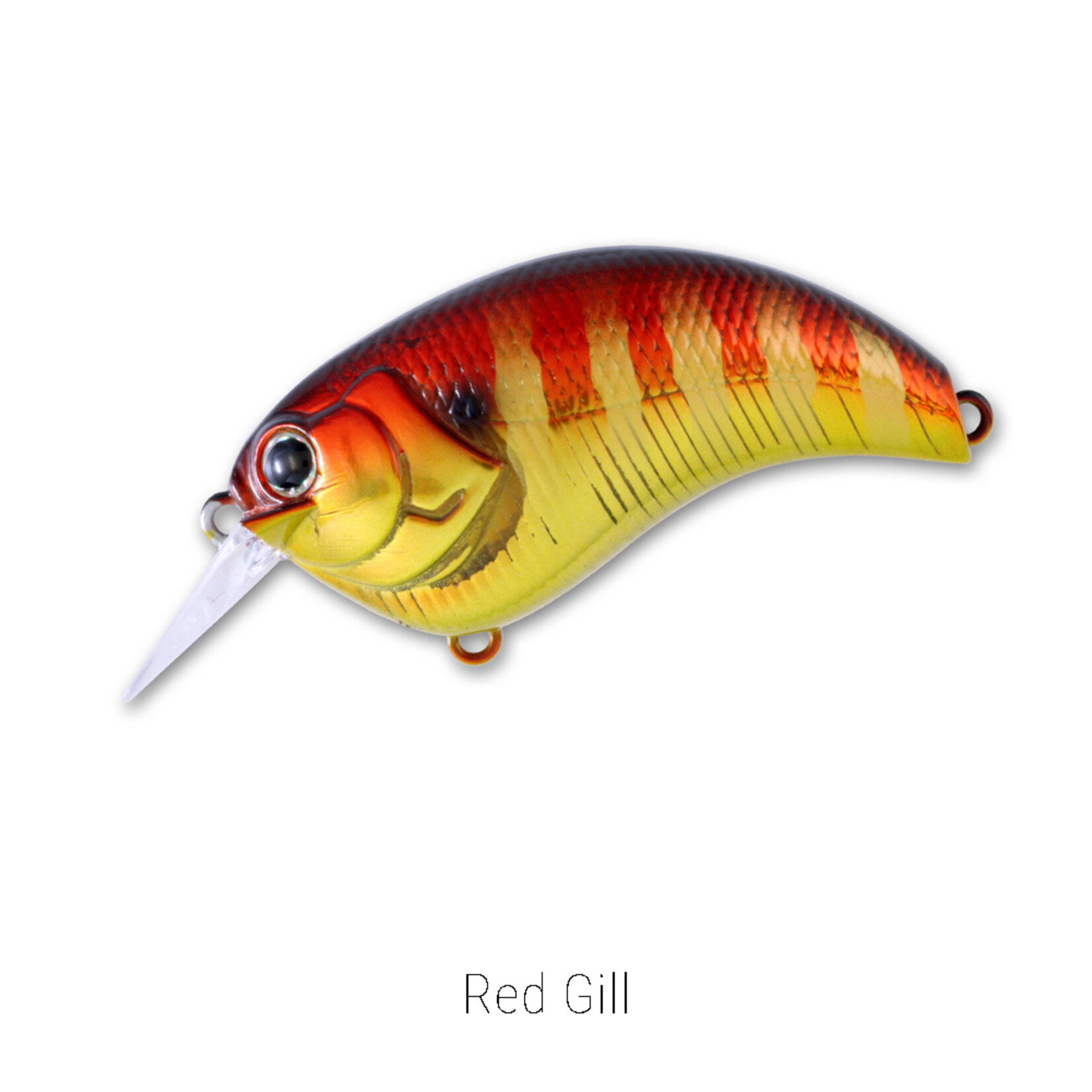 Deps Evoke 1.2