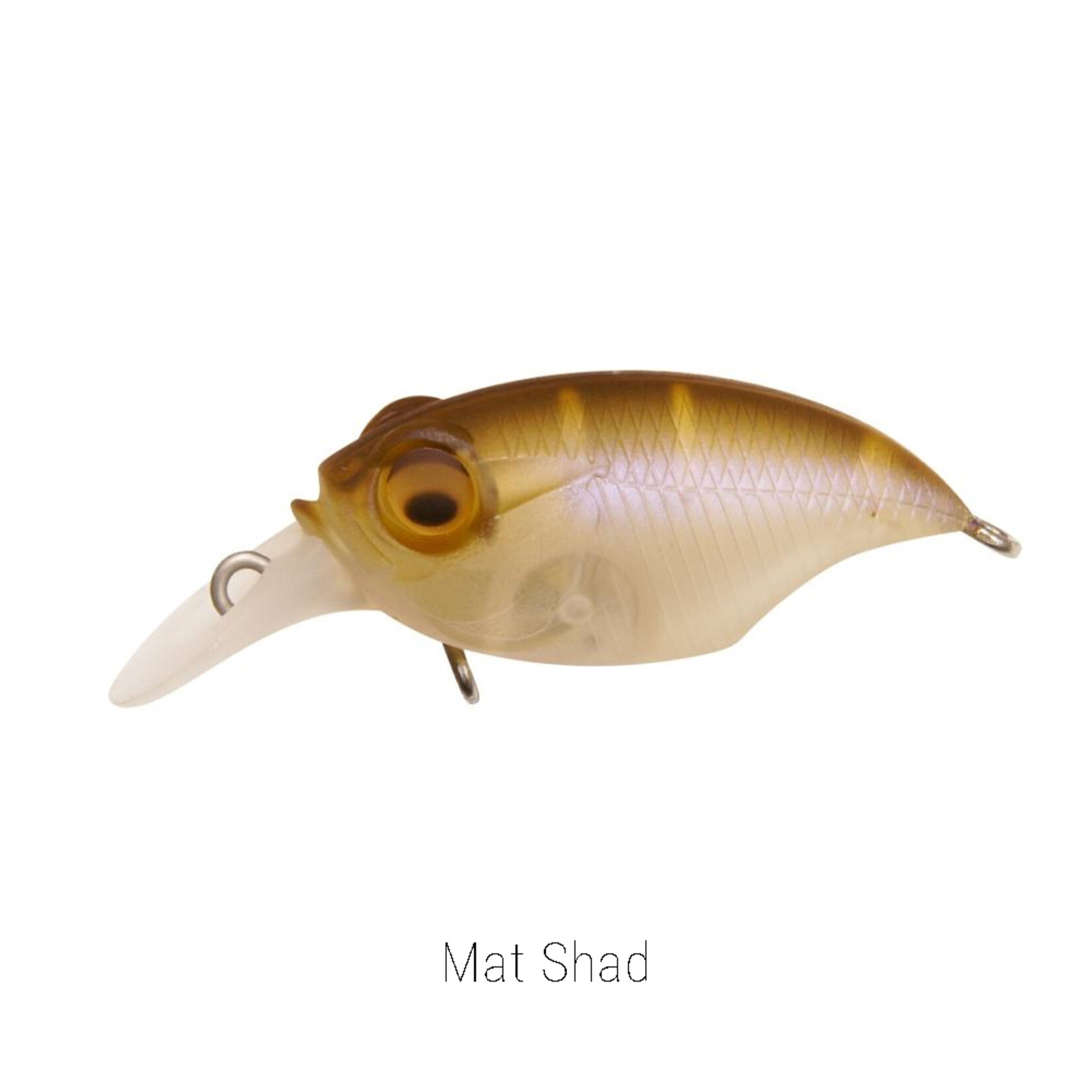 Megabass Griffon SR-X (BFS)