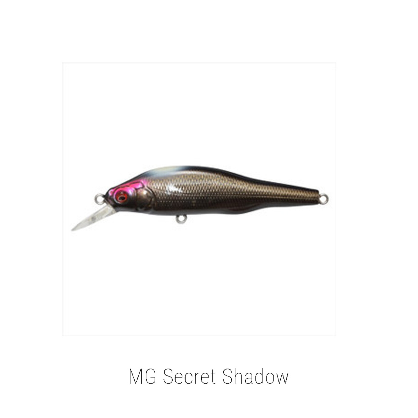 Megabass X-80 Trick Darter