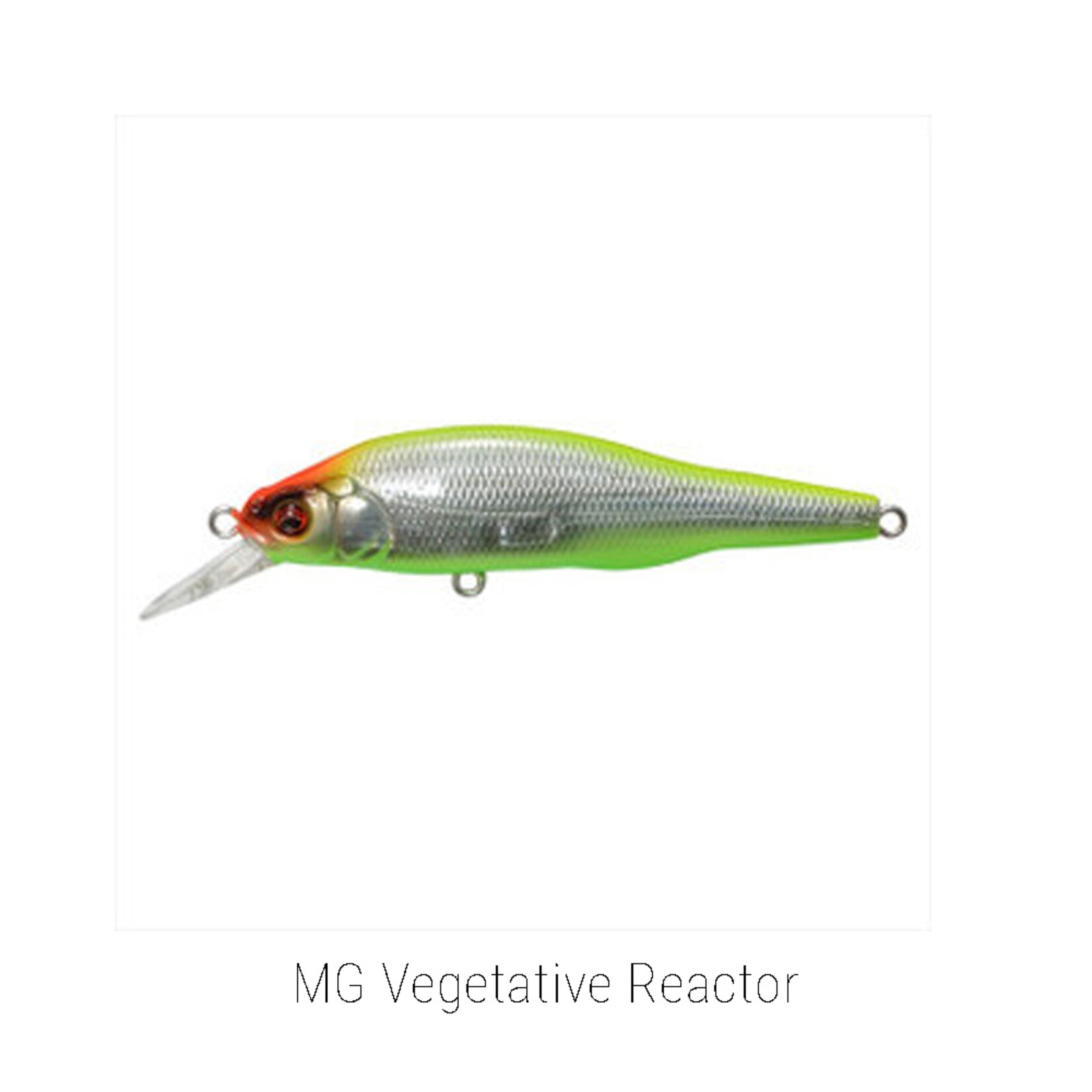 Megabass X-80 Trick Darter