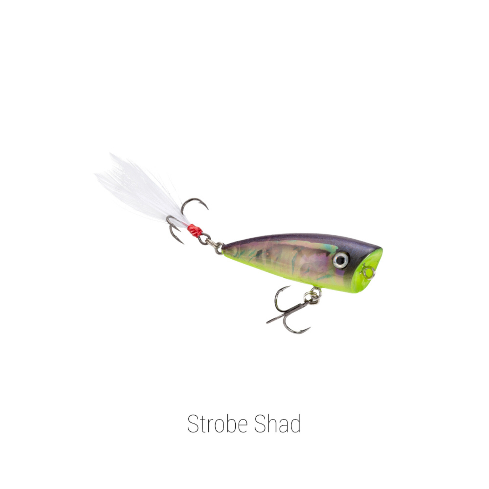 Strike King Bitsy Splash