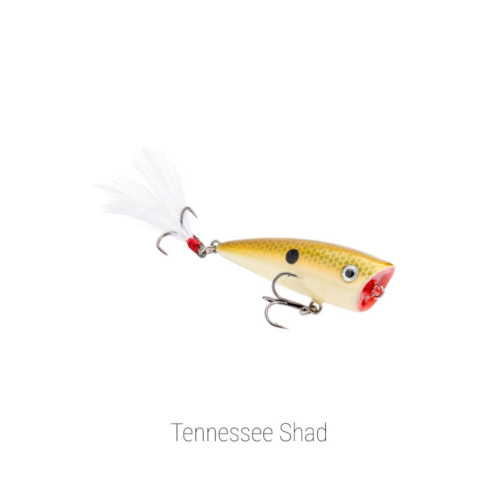 Strike King Bitsy Splash