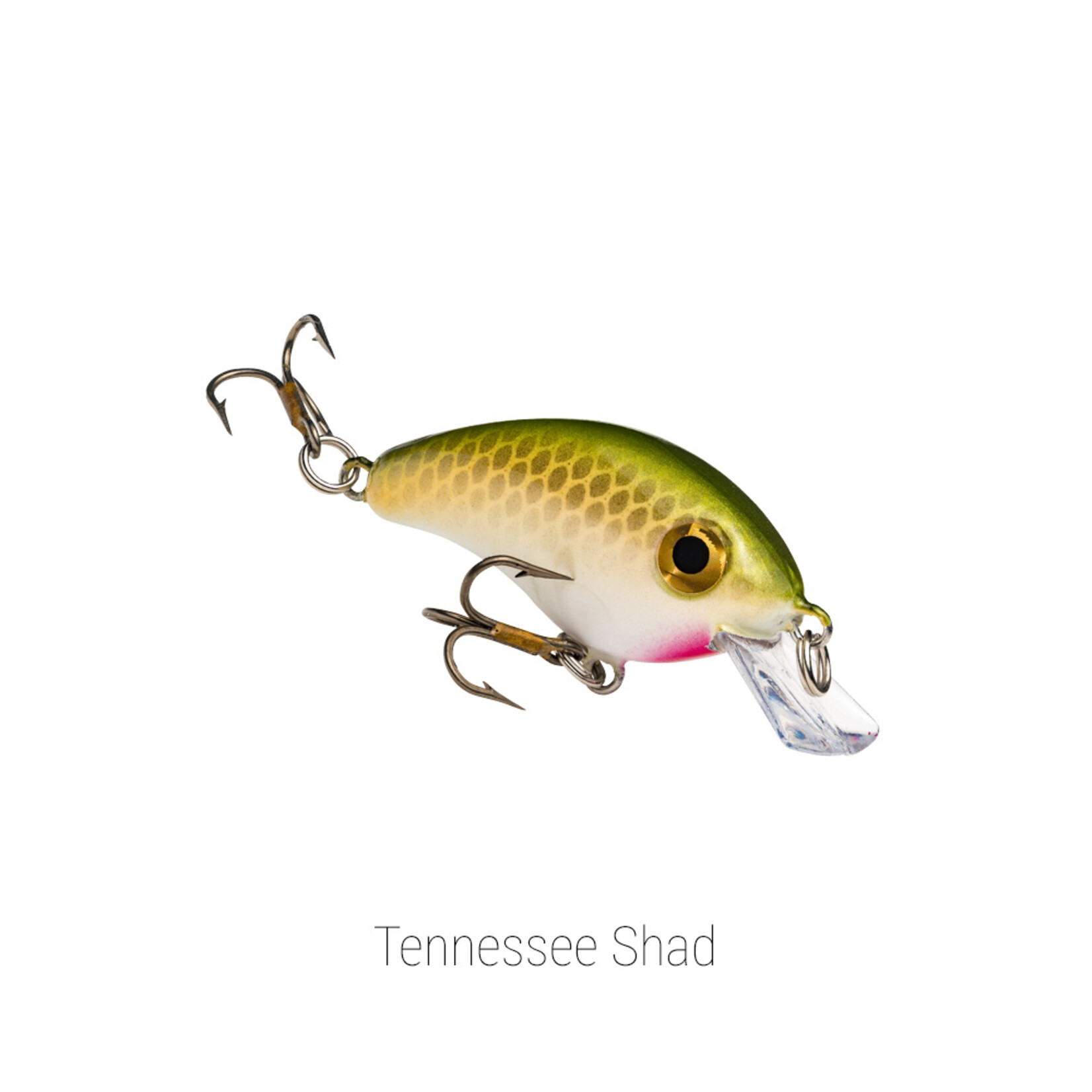 Strike King Bitsy Minnow
