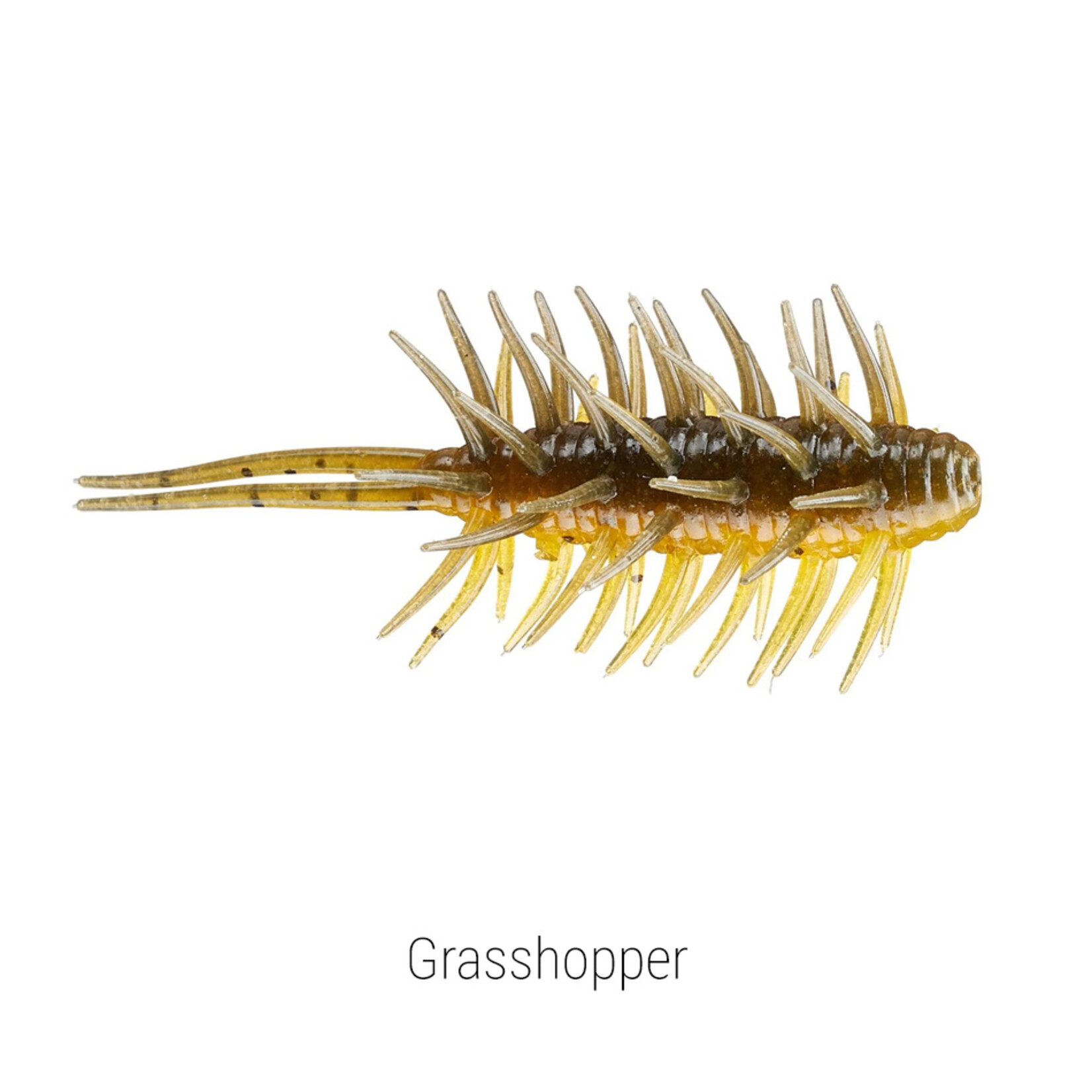 HideUp Coike Shrimp Medium (50mm)