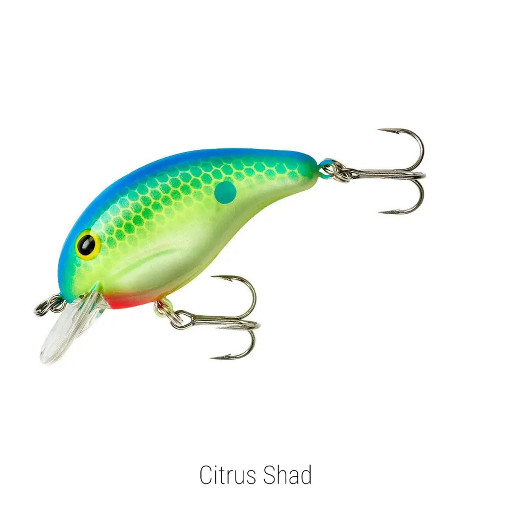 Bandit 100 Series
