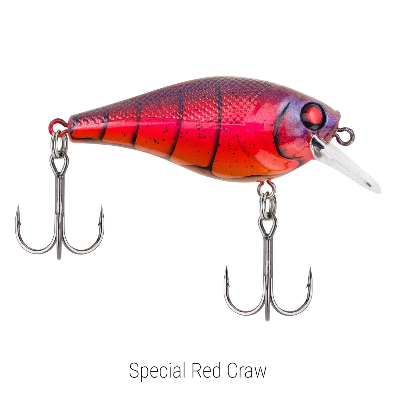Berkley Squarebull 5.5