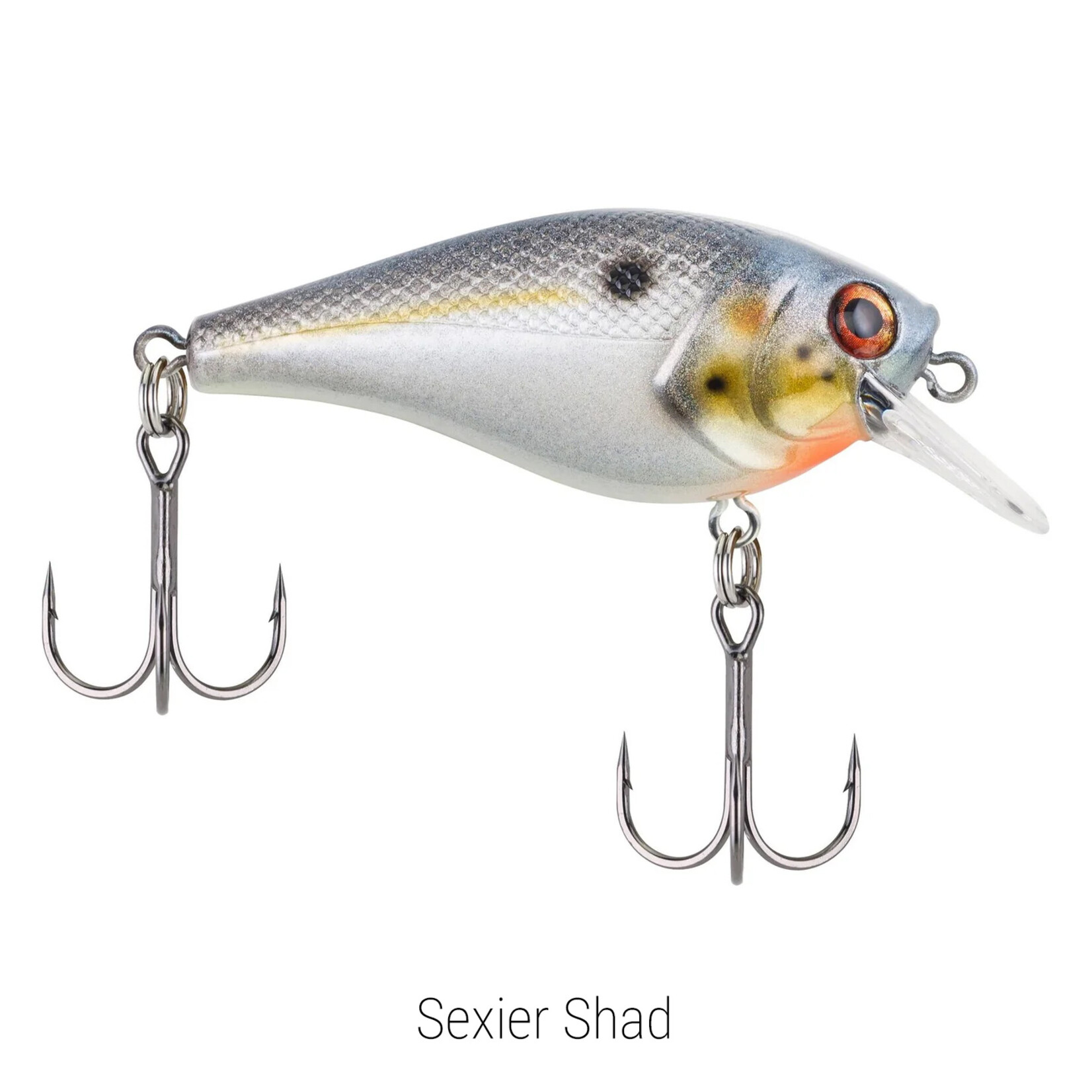 Berkley Squarebull 5.5