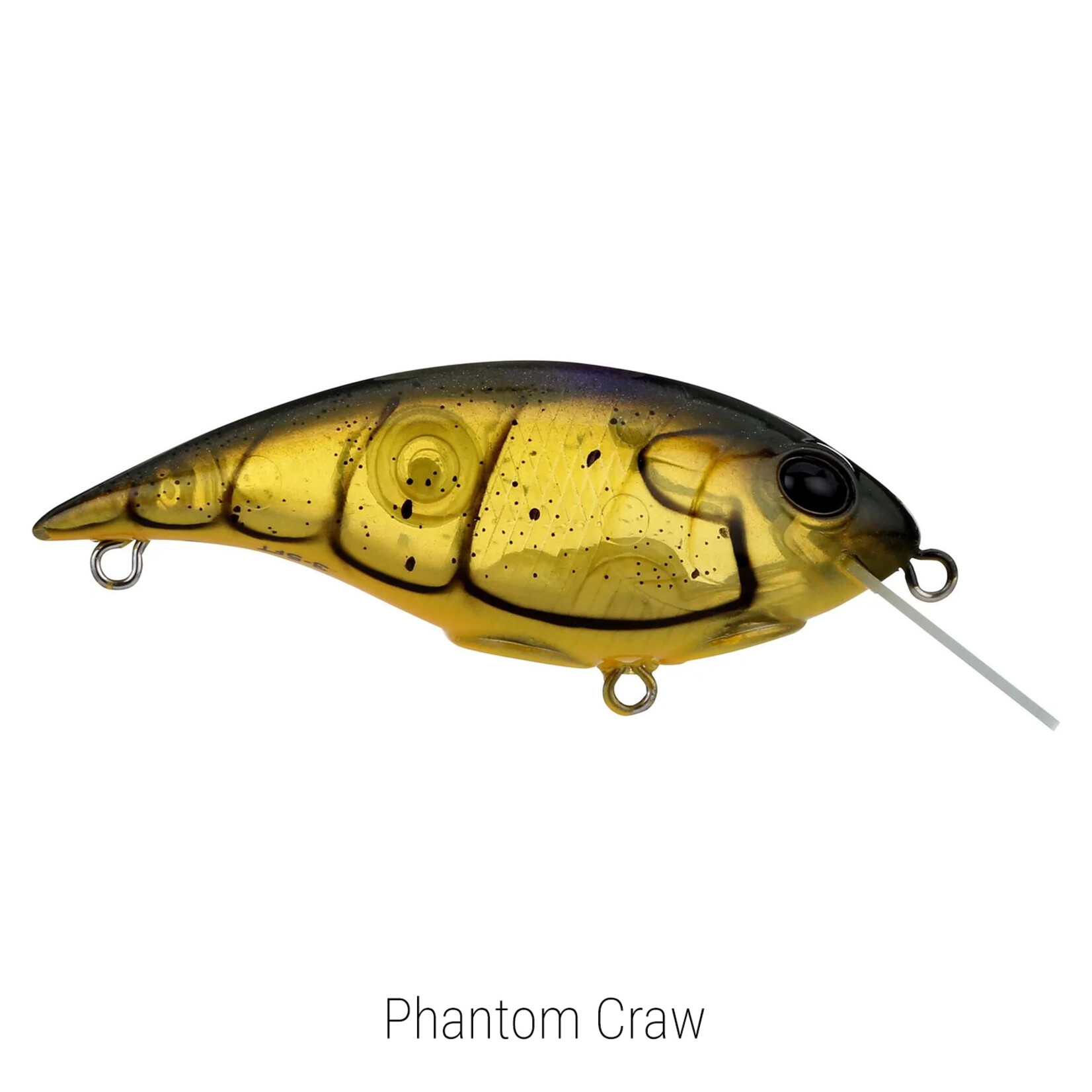 Berkley Shallow Money Badger 5