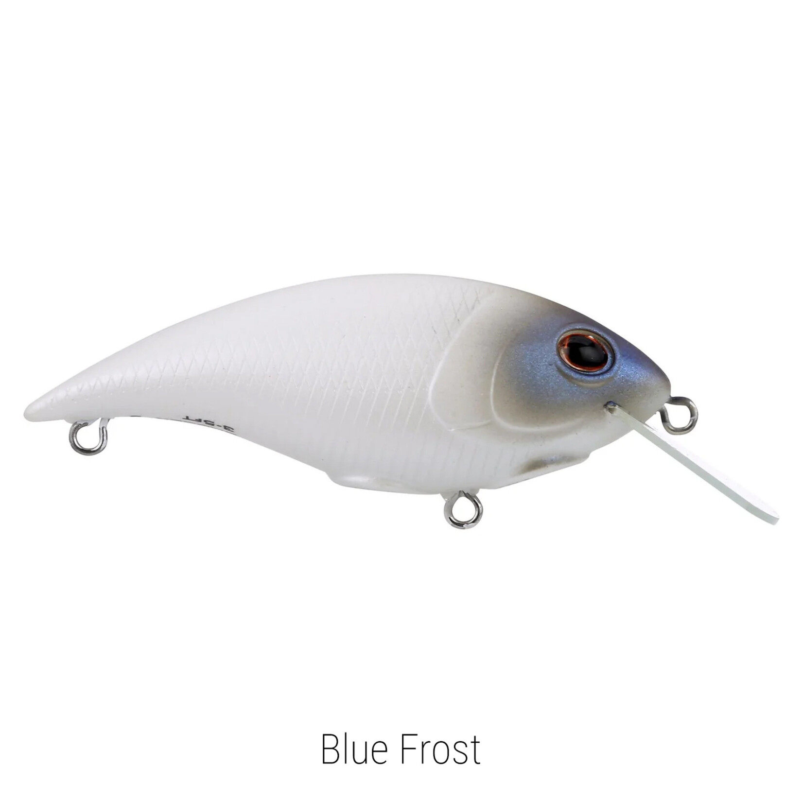 Berkley Shallow Money Badger 5
