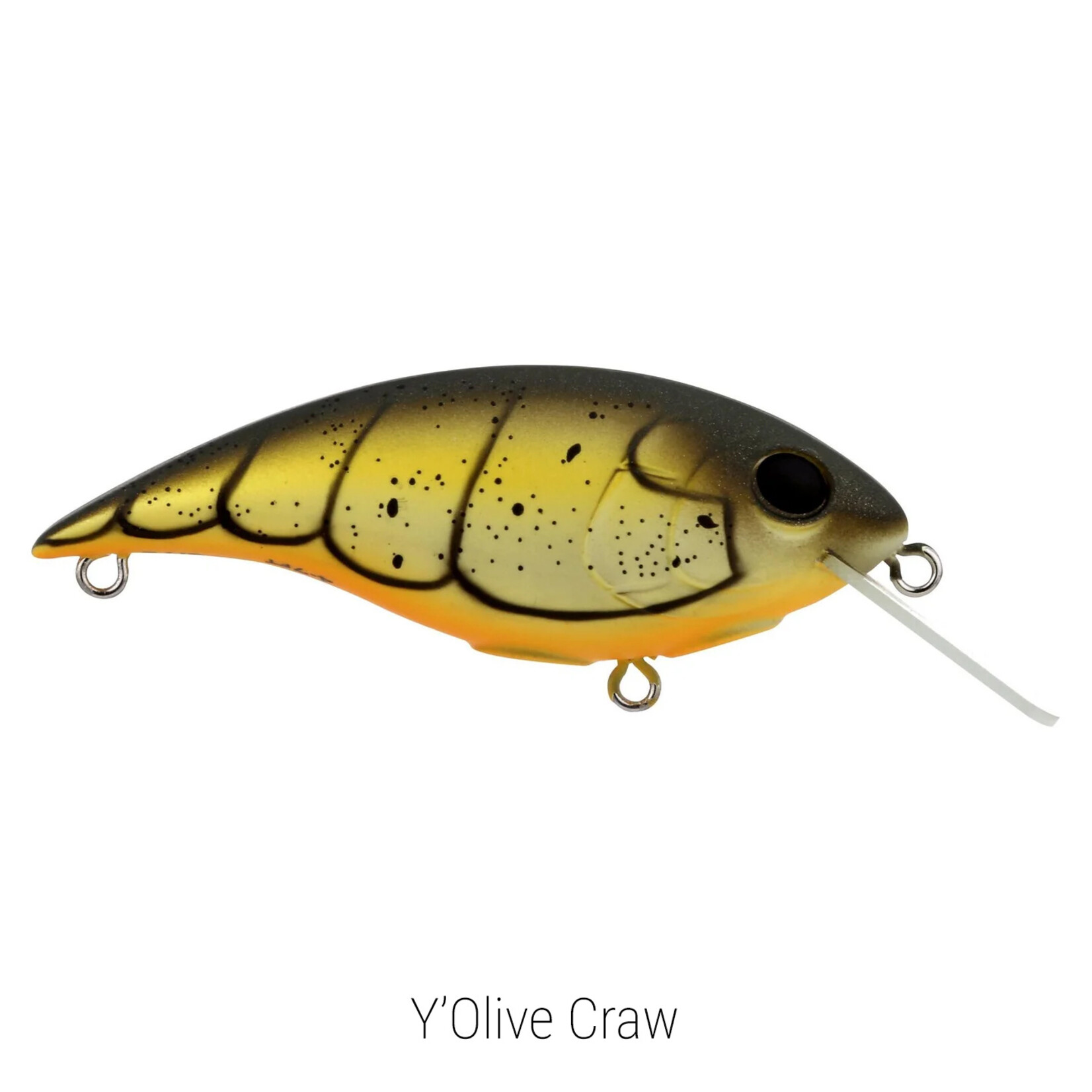Berkley Shallow Money Badger 5