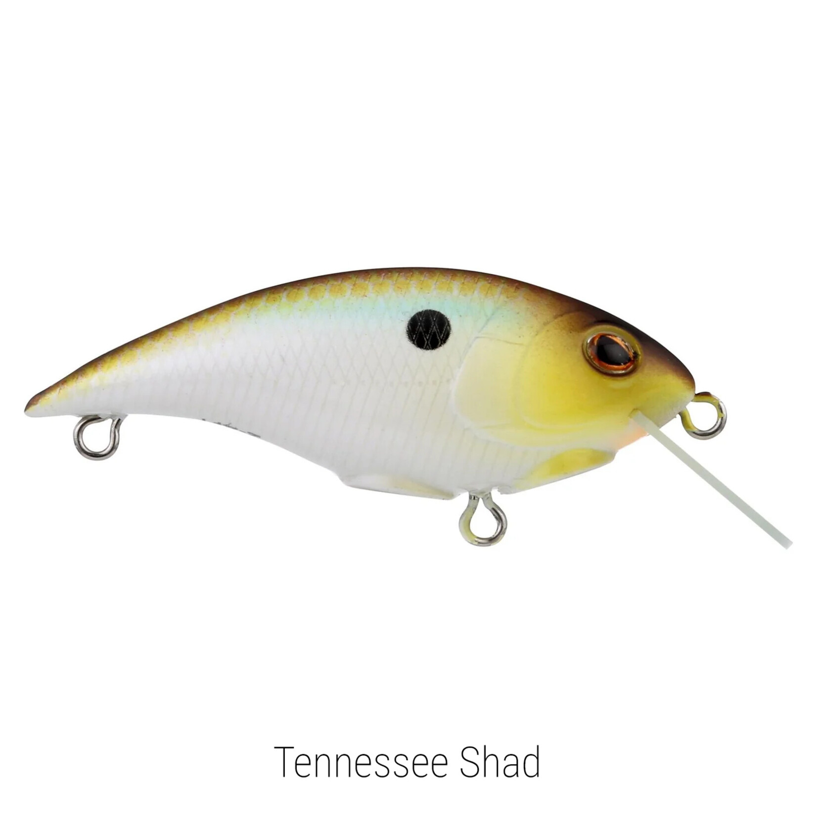 Berkley Shallow Money Badger 4