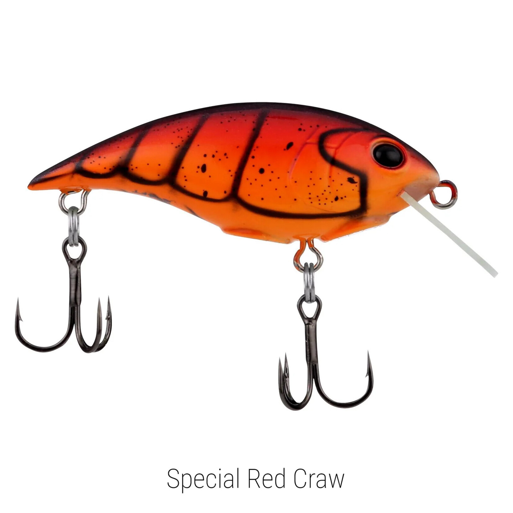 Berkley Shallow Money Badger 4