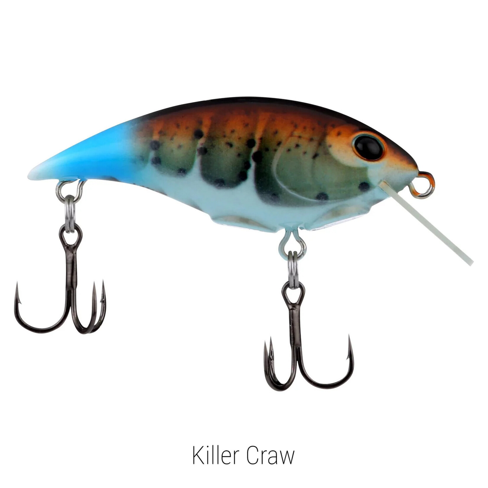 Berkley Shallow Money Badger 4