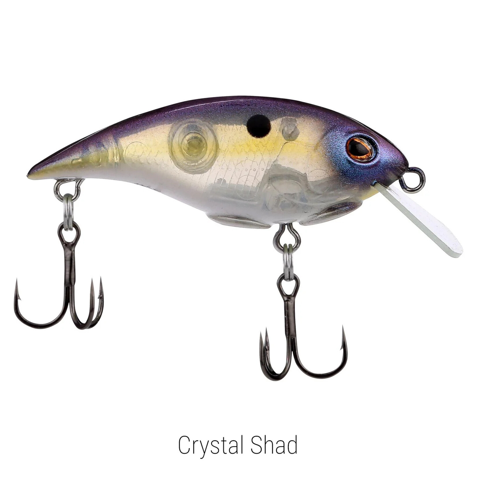 Berkley Shallow Money Badger 4