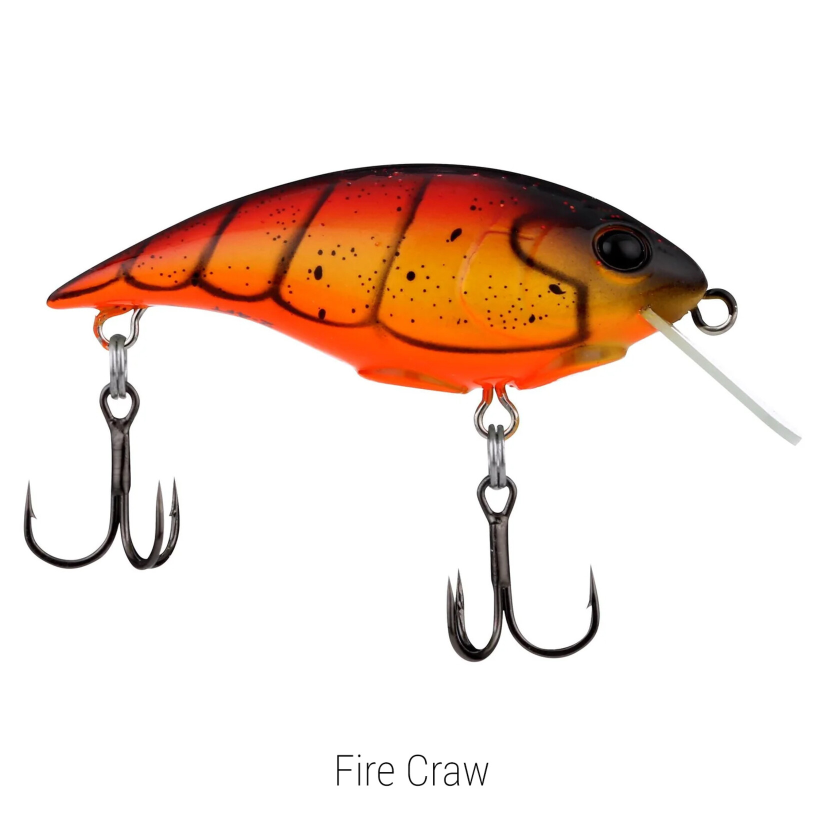 Berkley Shallow Money Badger 4