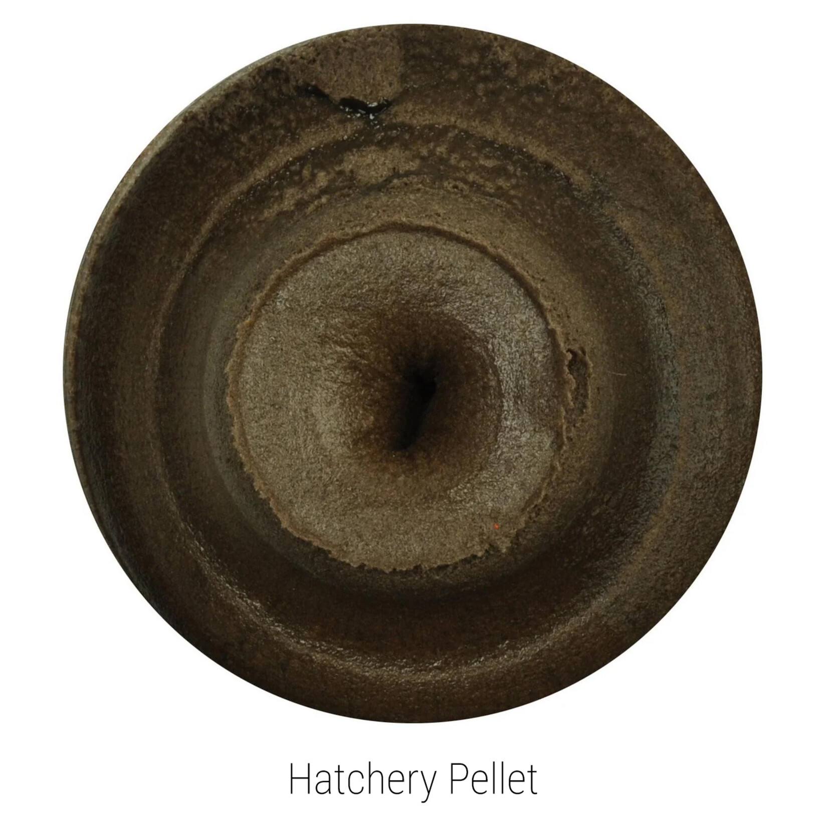 Berkley PowerBait Trout Bait