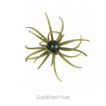 Hags Bait Prickly Pear 19mm
