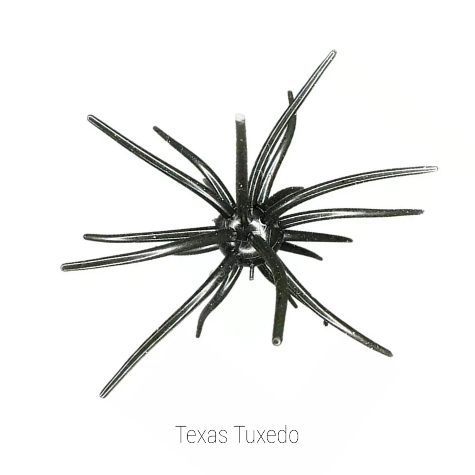 Hags Bait Prickly Pear 19mm