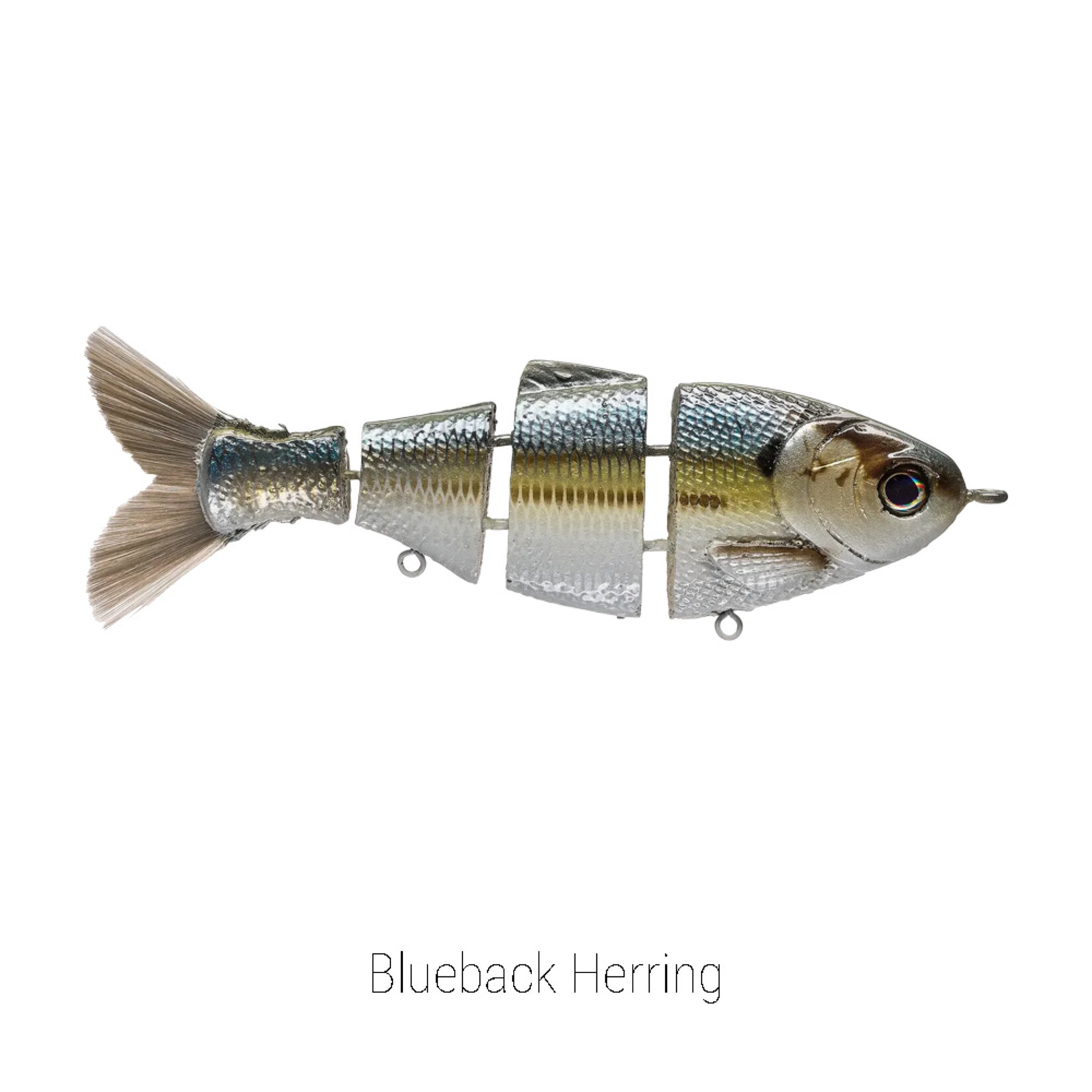 Bull Shad 6" Bull Shad Slow Sink