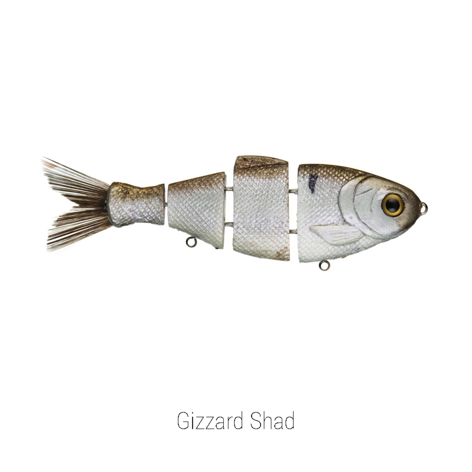 Bull Shad 6" Bull Shad Slow Sink