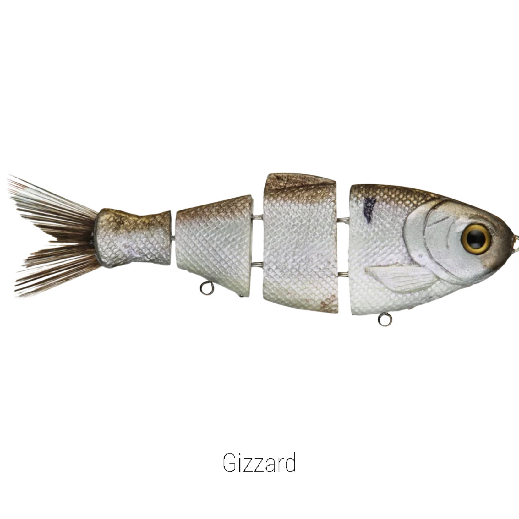 Bull Shad 5" Bull Shad Fast Sink
